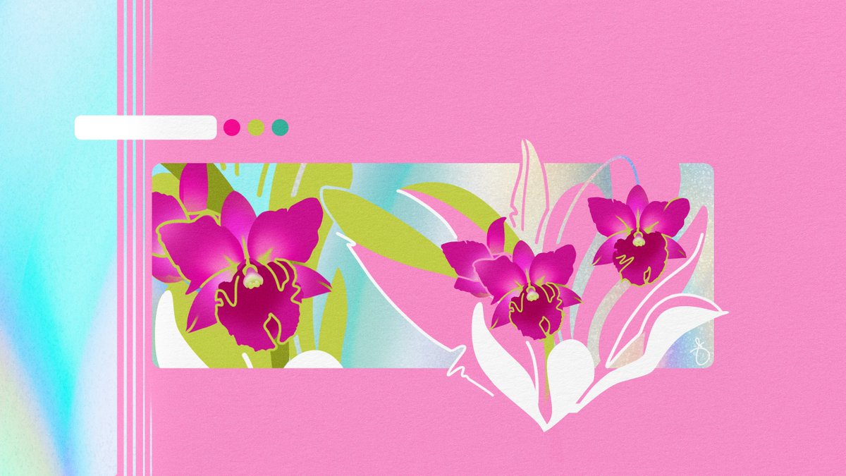 jia_beee's tweet photo. @RaymundoWLo1 As a plantita and flower fairy, here's some fan art doc! https://t.co/5vVMMvMFFU