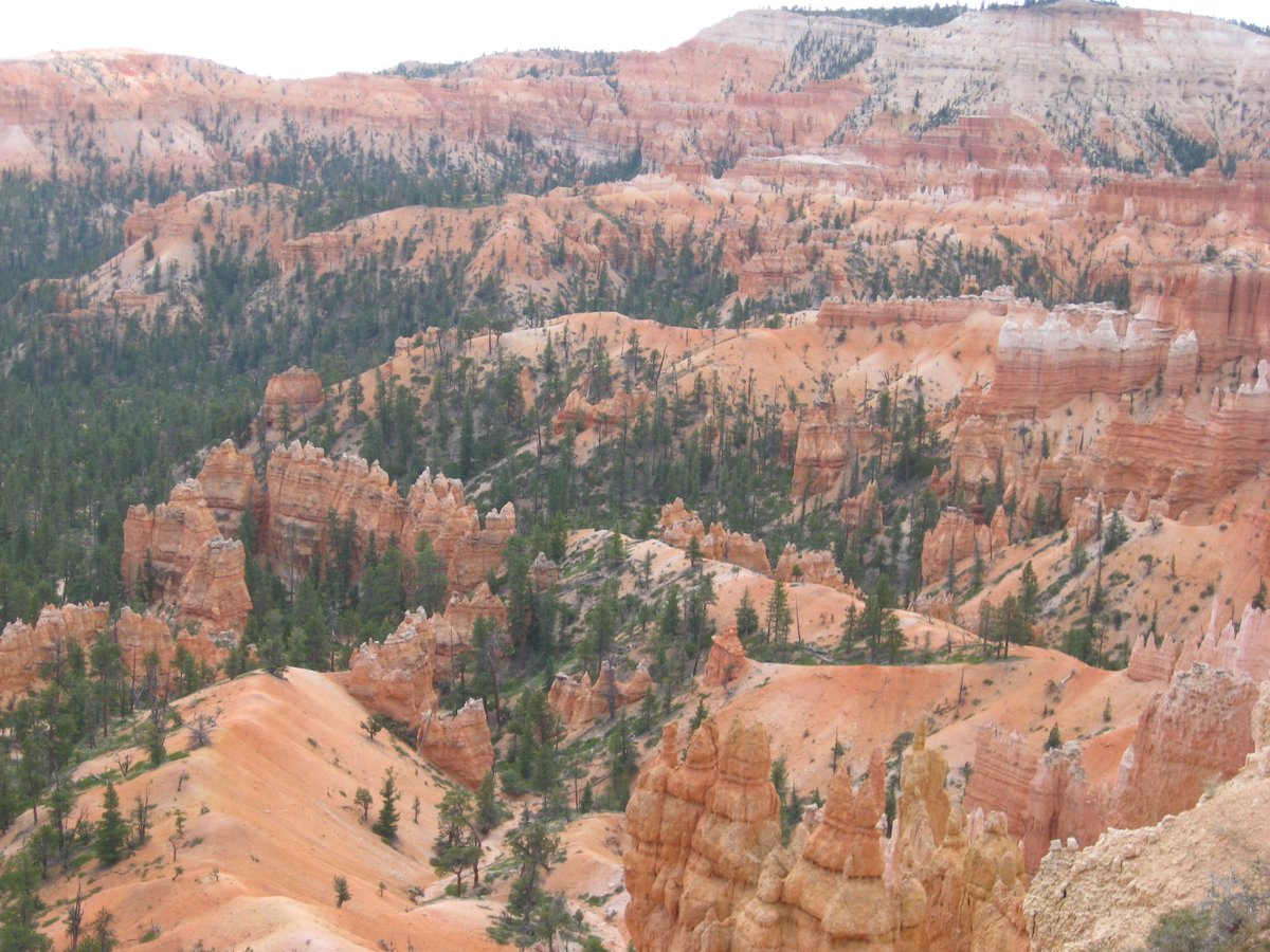TRAVELFOREVERrd's tweet photo. It's no APRIL FOOLS JOKE - our LODGE AT BRYCE CANYON Sunrise/Sunset Motel rooms open today!  https://t.co/BowuAckCC7 #utah #nationalpark #brycecanyonnationalpark #hiking #adventure https://t.co/jKyd04RyLc