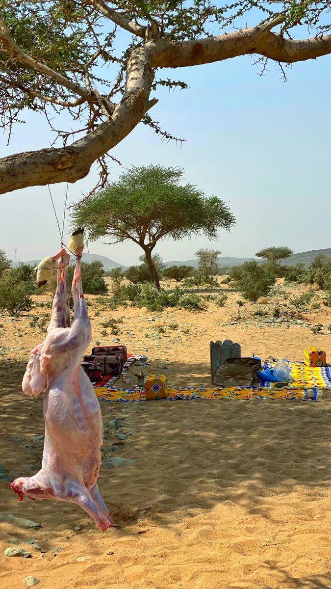 بنت روق. 🇸🇦 (@aggpp1344) on Twitter photo 