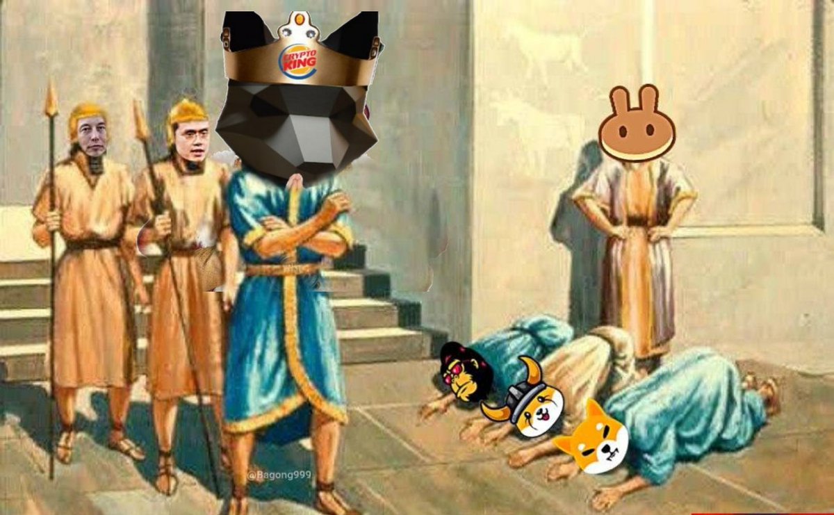 Sastrashiller's tweet photo. @CryptoKingERC20 My entry
 #CKMemeContest @CryptoKingERC20 https://t.co/Dk1UzLFgzb