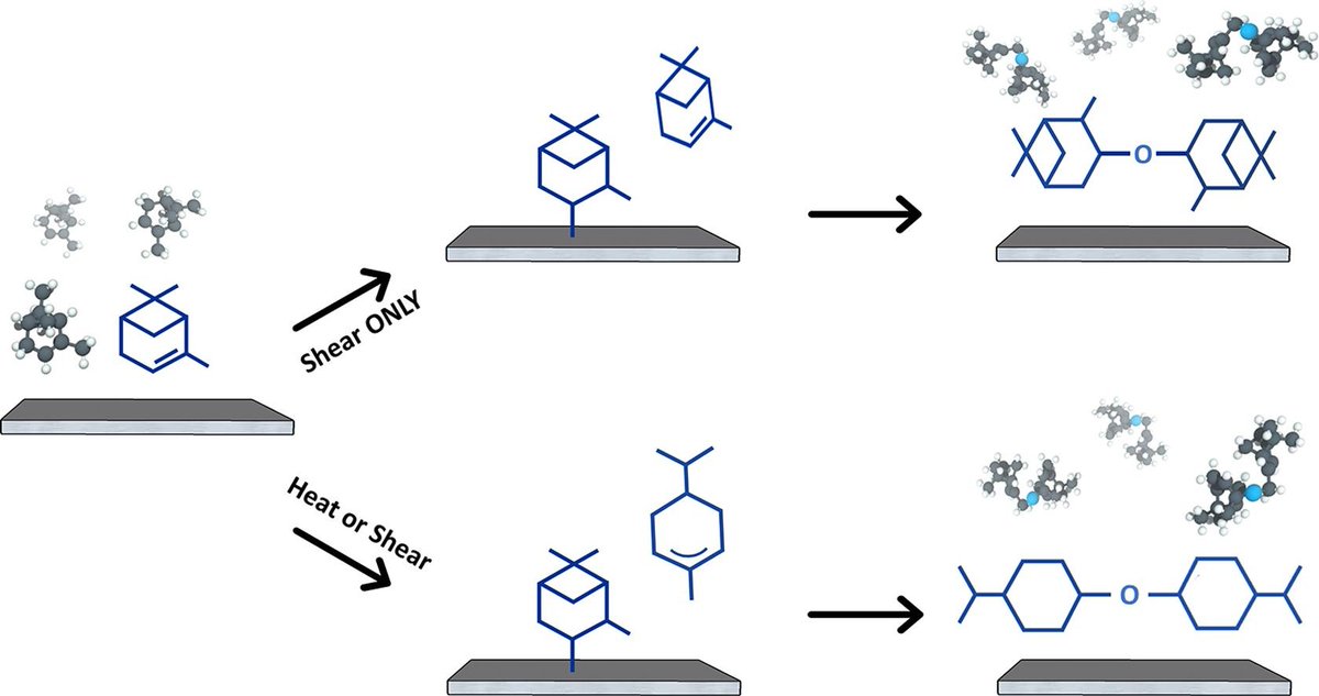 New paper by <a href="/FakhrulHasanBh1/">Fakhrul Hasan Bhuiyan</a> (@ME_UCMerced) in collaboration with Prof. Seong H Kim shows different pathways for thermally vs mechanically activated reactions published in Applied Surface Science: sciencedirect.com/science/articl… 
#mechanochemistry
