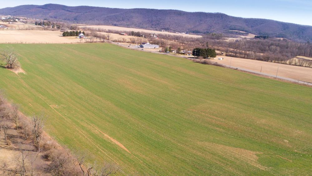 Cover crops more effective than insecticides for managing pests, study suggests psu.ag/36LkXex