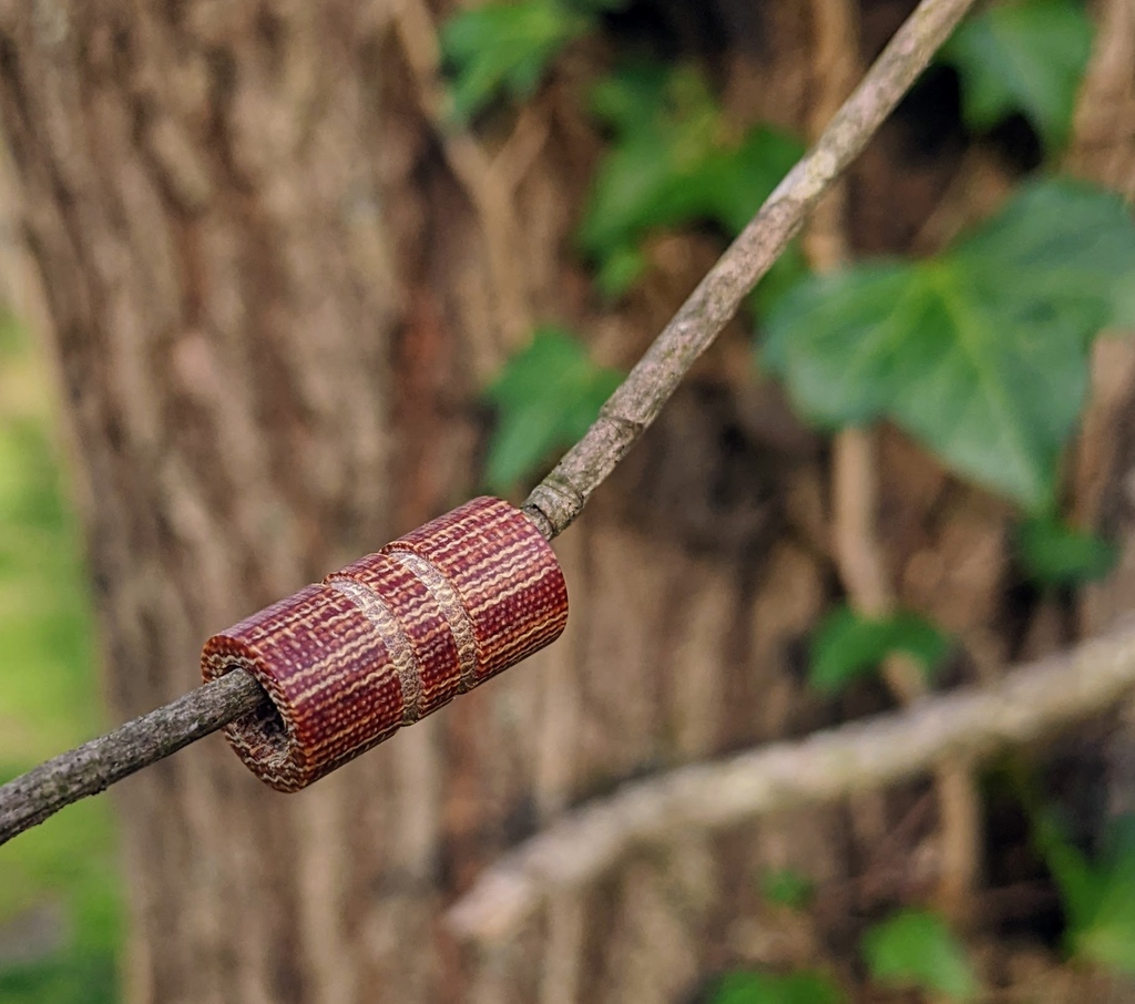 Deoje362's tweet photo. Wide Edge Medium Natural Micarta Bead With 2 Grooves
.
Link to shop in bio

#edcknives #edcgear #edcommunity #paracord #edcporn #edclife #lanyards #survivalgear #everydaycarry #knifeporn #pocketdump #pocketcarry #beads #edcbead #dailygear #edc https://t.co/qelTHkNAhm