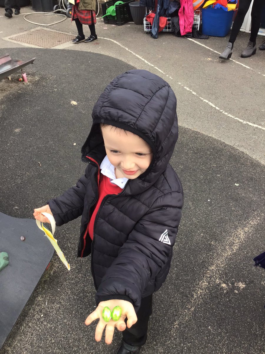 GPSOak's tweet photo. An eggs-ellent egg hunt to finish off a lovely week and a super term! @Gillibrand_Sch @gillhead25 https://t.co/nXTqtnE49u