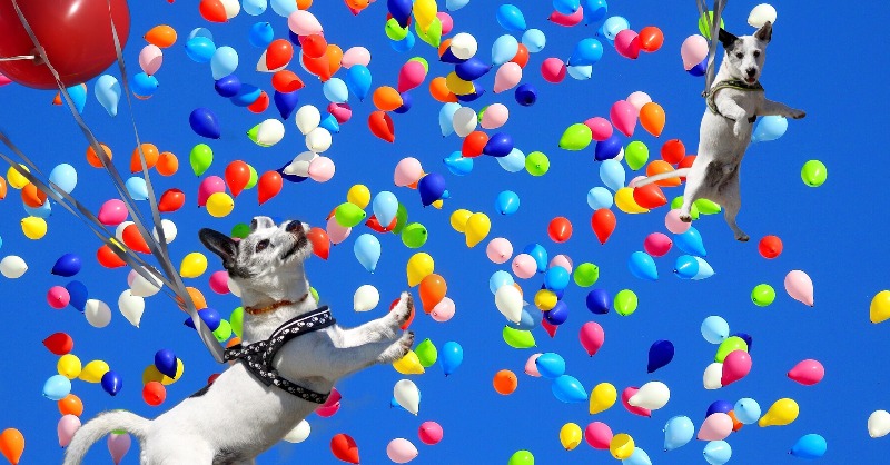 Nikki at BTNO tweet media