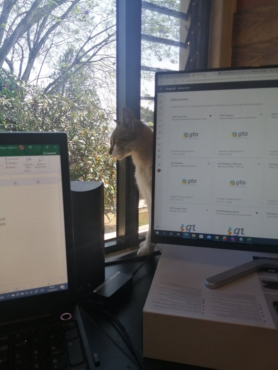 sic_miguel's tweet photo. Compañero de trabajo, que pensara? #homeoffice https://t.co/K9CEXcRgTc