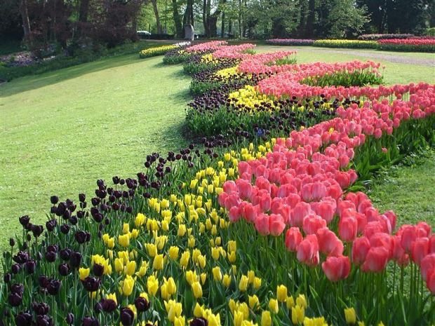 dilruba_lees's tweet image. An altered look on the hills
A Tyrian light the valleys fills.
A wider sunrise in the dawn
 A deeper twilight on the lawn.
All wonderful things and dear
A flower expected everywhere.
 All these and more, I can not tell
A furtive look you knew as well.
#1stofApril 
#April