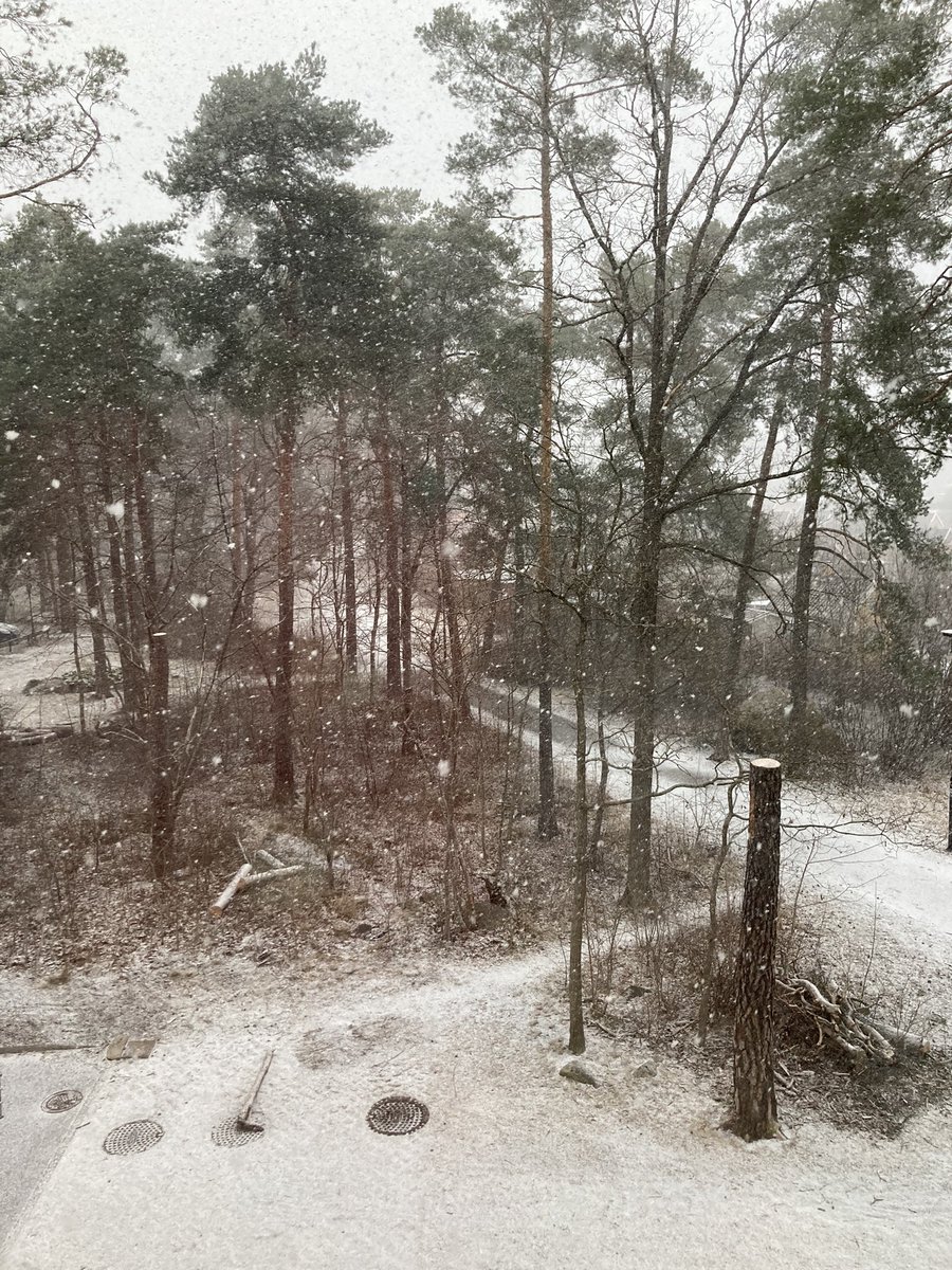 JaelWaern's tweet photo. Någon överdriver det här med aprilskämt. https://t.co/GtbpGma3Re