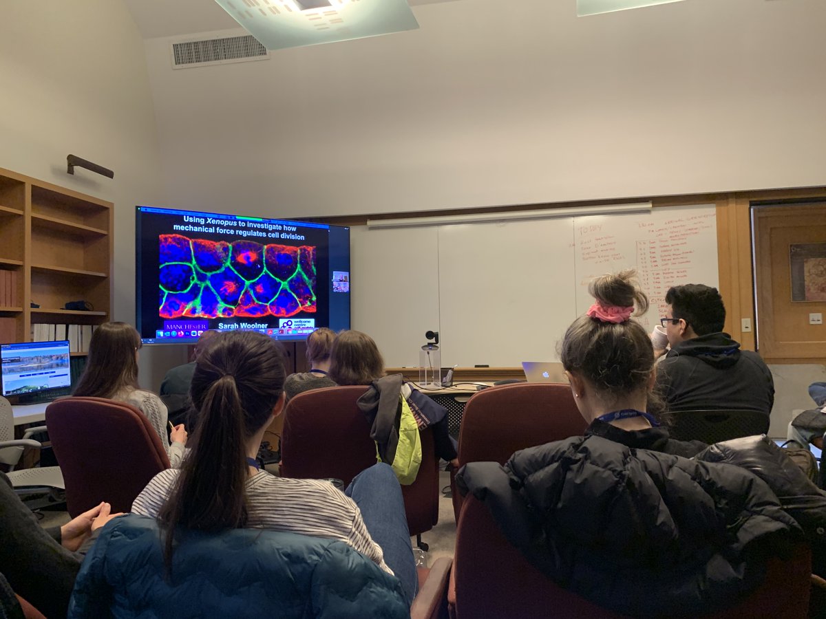 cshlxeno (@cshlxeno) on Twitter photo Started the day off with a fantastic lecture by Sarah Woolner <a href="/LabWoolner/">Woolner Lab</a>
Stoked to check out some animal caps later today! Started the day off with a fantastic lecture by Sarah Woolner <a href="/LabWoolner/">Woolner Lab</a>
Stoked to check out some animal caps later today!