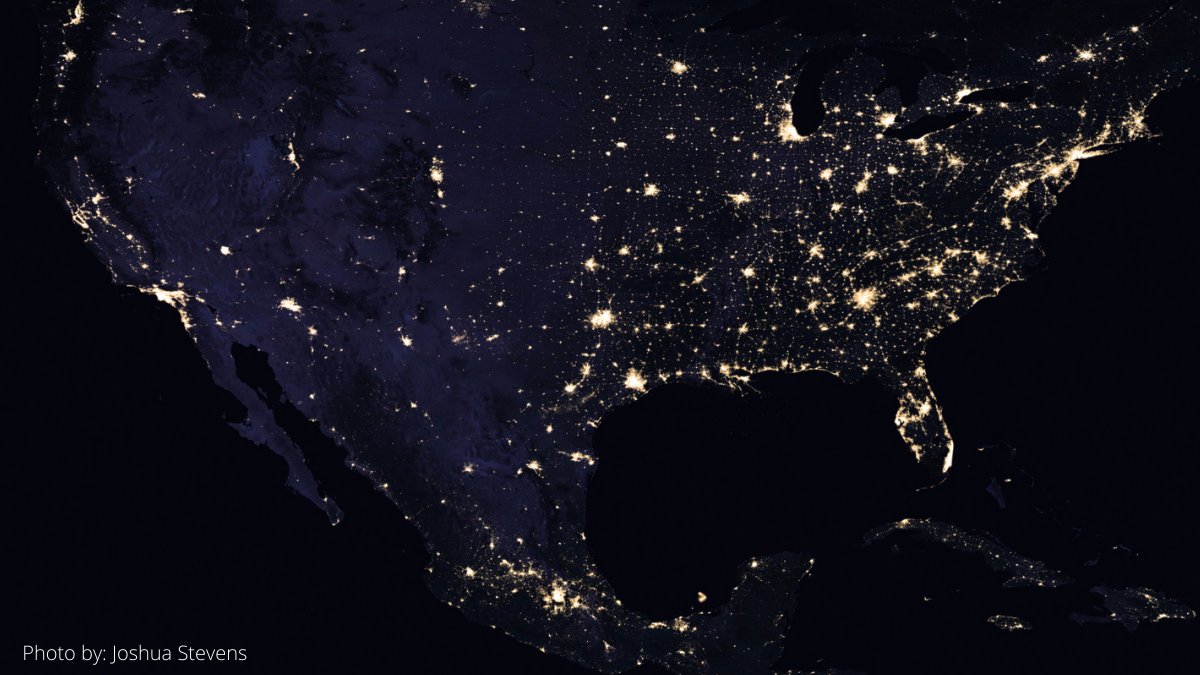 World Migratory Bird Day tweet media