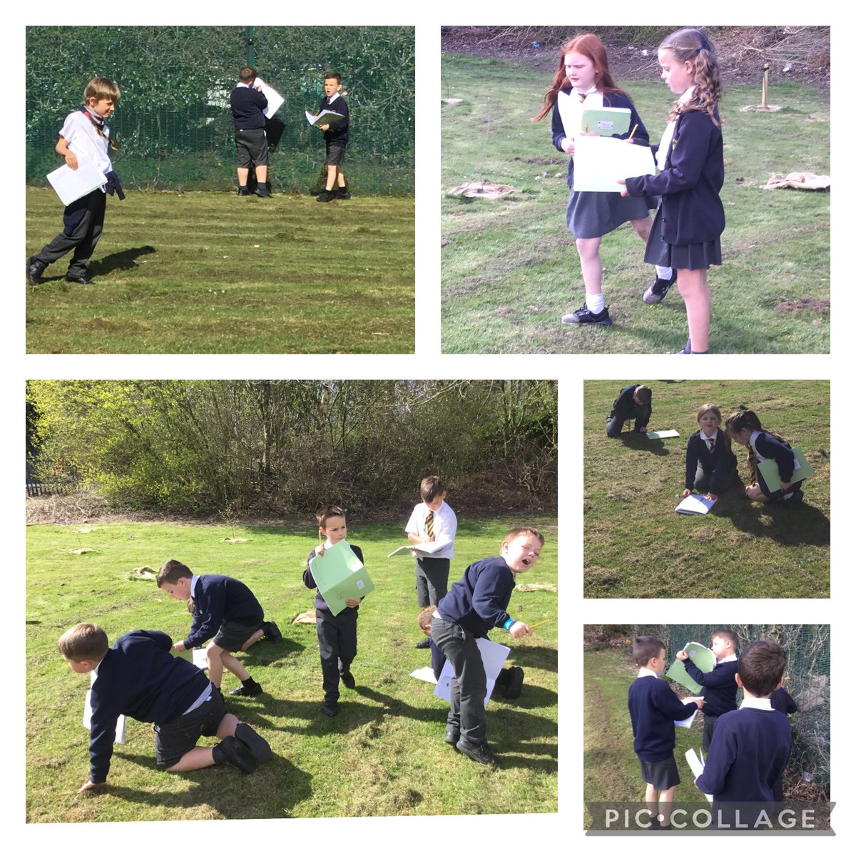 HBJSCH63's tweet photo. 3A looking at how plants and trees change in spring #HBJSscience #HBJSyear3 https://t.co/9GOCrmKNfL