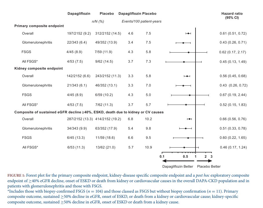 NDTsocial's tweet photo. 💥Editor's choice:
Safety &amp; efficacy of dapagliflozin in patients with focal segmental glomerulosclerosis: a prespecified analysis of the dapagliflozin &amp; prevention of adverse outcomes in chronic kidney disease (DAPA-CKD) trial 
🔓https://t.co/ma03eKEa44
@gchertow @P_Rossing https://t.co/ePhcFYjllo