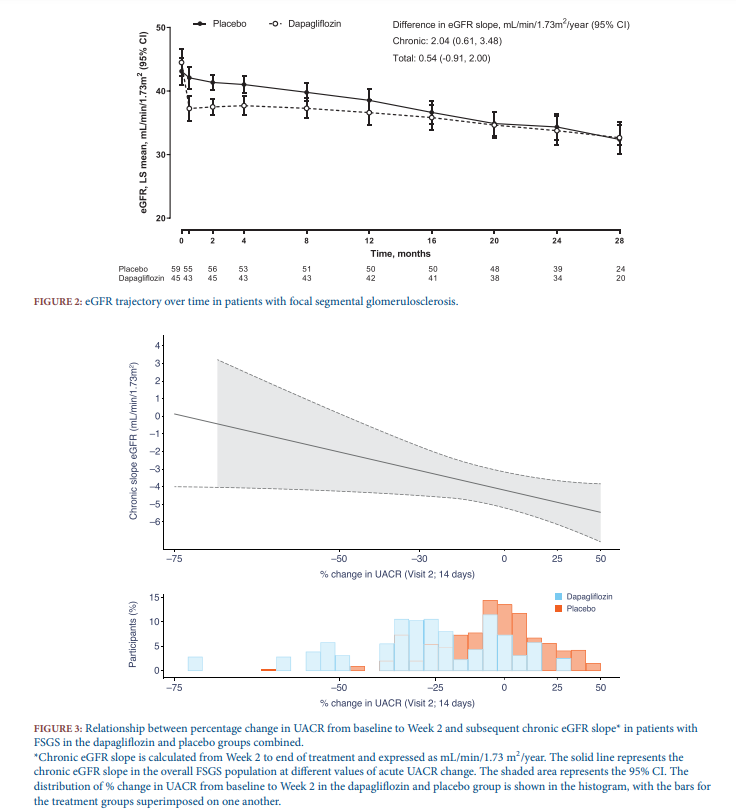 NDTsocial's tweet photo. 💥Editor's choice:
Safety &amp; efficacy of dapagliflozin in patients with focal segmental glomerulosclerosis: a prespecified analysis of the dapagliflozin &amp; prevention of adverse outcomes in chronic kidney disease (DAPA-CKD) trial 
🔓https://t.co/ma03eKEa44
@gchertow @P_Rossing https://t.co/ePhcFYjllo