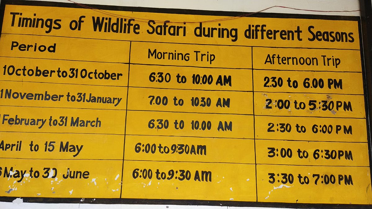 ParkRanthambor's tweet photo. Timing of Ranthambore National Park Safaris https://t.co/6yn6XU6wir