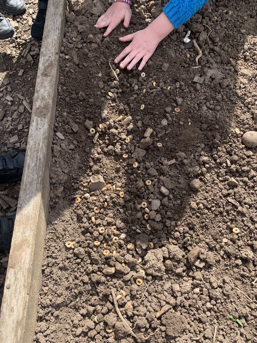 MrMJEllis's tweet photo. 😂😂😂
Loved the April fools gags today!! They didn’t want to believe it was true but they did 😂
32nd of June - Queens Jubilee
Donut seeds
Random class requests
#LongWeight #TartanPaint #GlassHammer #ItsBeenAGoodDay https://t.co/0tWRFV0fLn