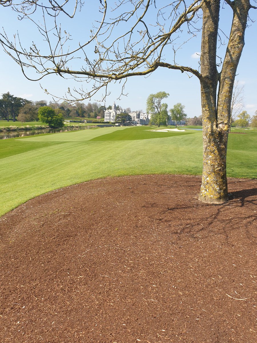 SeanPower747's tweet image. Not easy leaving this place today after a memorable 4 years. Fantastic crew and Golf course. Best of luck in the future 🍀 @TheAdareManor @greenkeepingire