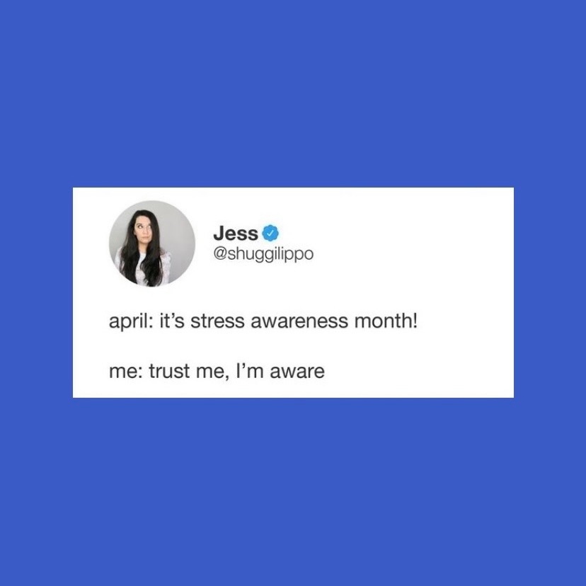 IDefySC's tweet photo. Modern medicine hasn't yet reached the point where we can erase stress. However, we can discover ways to manage said stress + restrict it from controlling our lives. #StressAwarenessMonth #IDefySC | 📸 : @jessilippo 

Stay tuned this month for tips on how to mellow the mind. 🧠 https://t.co/glS1sLuSvs