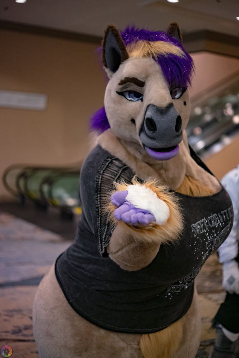Sable_Gryphon's tweet photo. Ignoring the April 1st thing. Happy #FursuitFriday 
My main account is now @runafjord https://t.co/7cJTC58Mp6