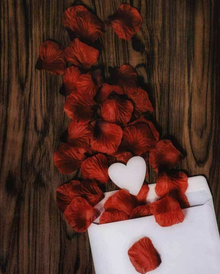 ferial_idrissi's tweet photo. رسالة لك 💌 
| لا تترك أي شيء في قلبك ضد أحد .. 
اجعل قلبك ابيضا صافيا من الحقد و الضغينة..
سامح و اغفر و تجاهل وأحسن الظن فكلنا راحلون ⭐️💭..

⚘ #feriel ⚘ https://t.co/W1ovINbDVG