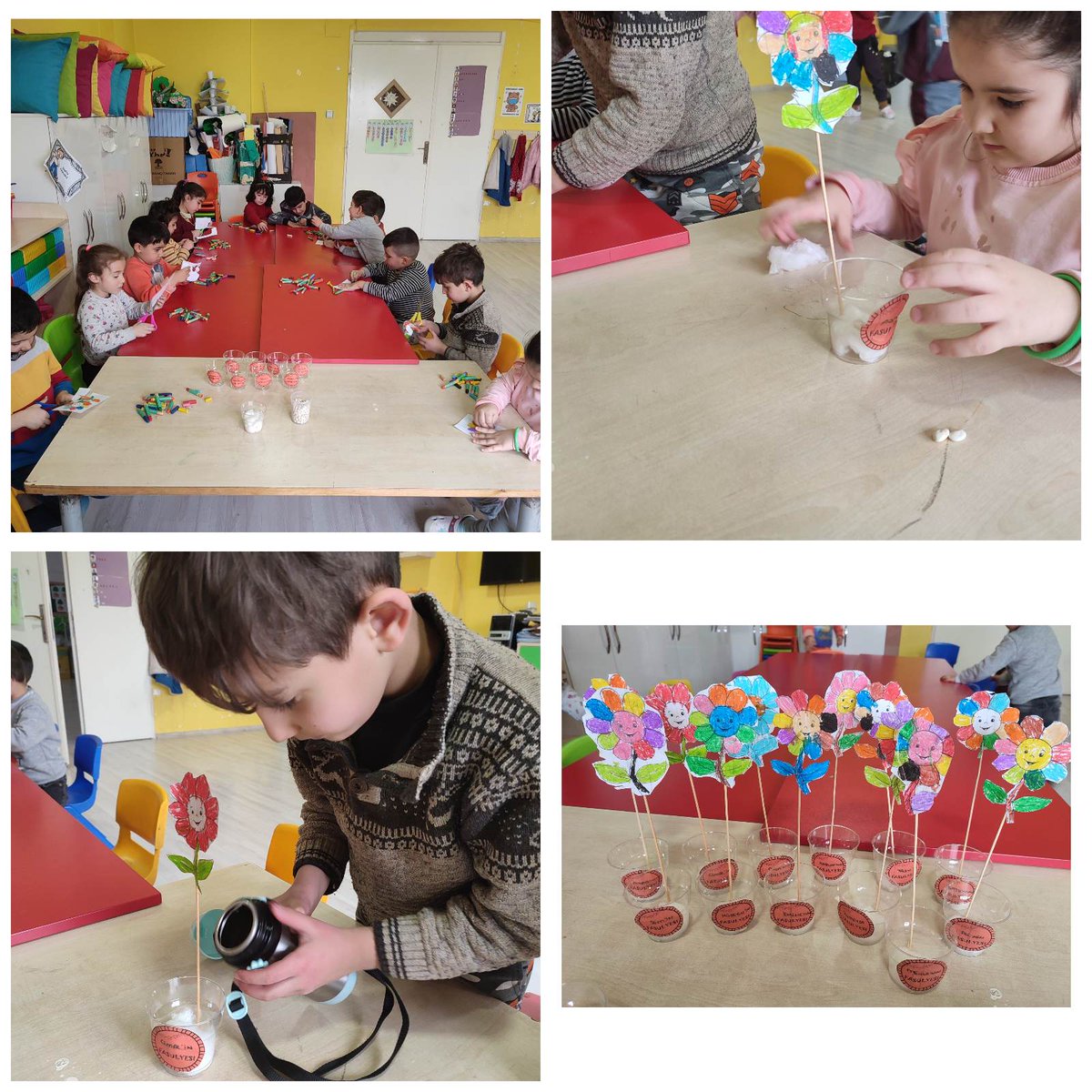 Fasulyelerimizi çimlendirdik... <a href="/yasintepe/">Yasin TEPE</a> <a href="/yagcimehmet27/">Mehmet YAĞCI</a>