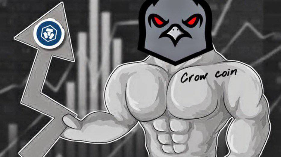 dulyraheem's tweet image. #CrowCoin is going nuts!!💰💰🚀🚀