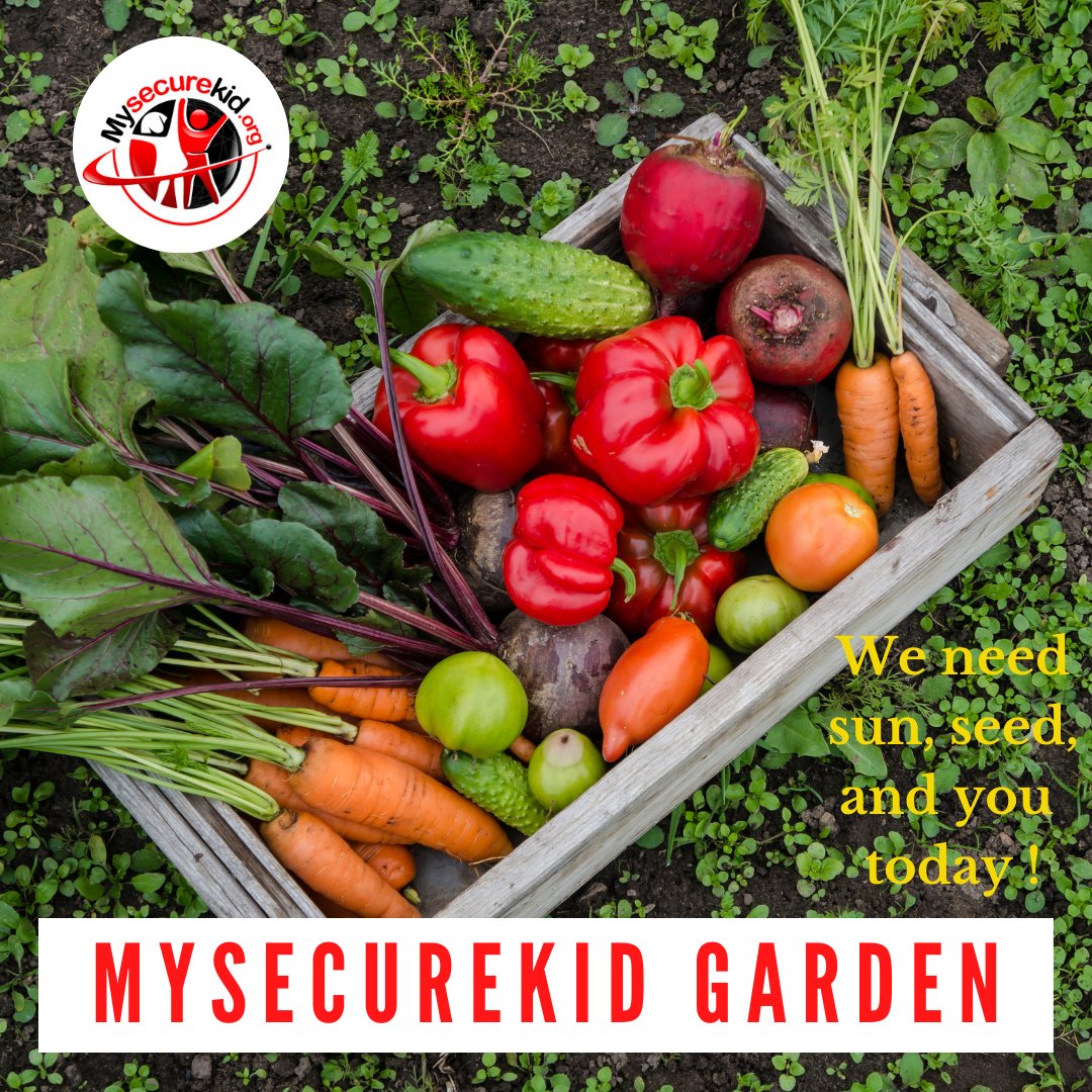 securetech360's tweet photo. When starting a vegetable garden start with vegetables you and your family likes to eat. Some common vegetable grown at home are pepper, tomatoes, cucumbers, and there's so much more! #greenvalley #garden #360Cares #MySecureKid #SecureTech360 #CyberHeroes https://t.co/2hmUH078JQ