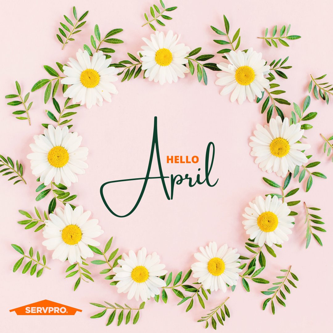 🌼 Hello, April
