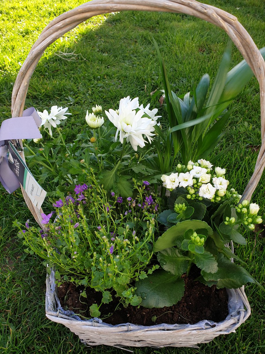 Thank you so much <a href="/KingsOak2018/">King’s Oak Academy</a> for the beautiful flowers, its been a pleasure and a honor to work alongside the fantastic Kings Oak Academy family, sending well wishes for the future to all involved. 🥳