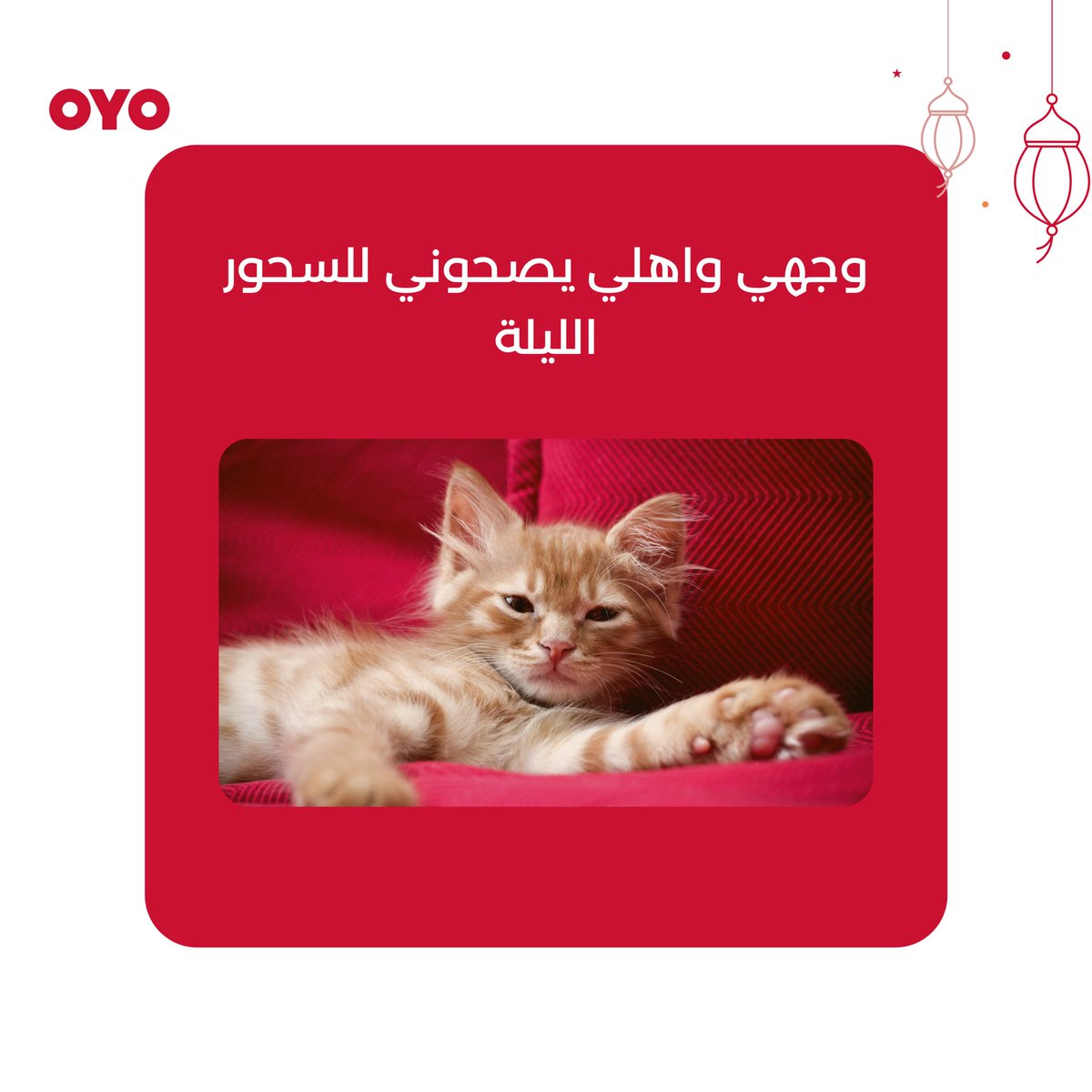 فنادق اويو السعودية OYO KSA tweet media