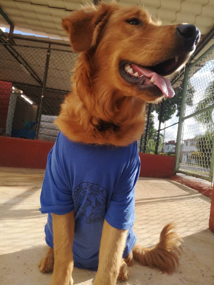 La Feconeta 💙⚽ tweet media