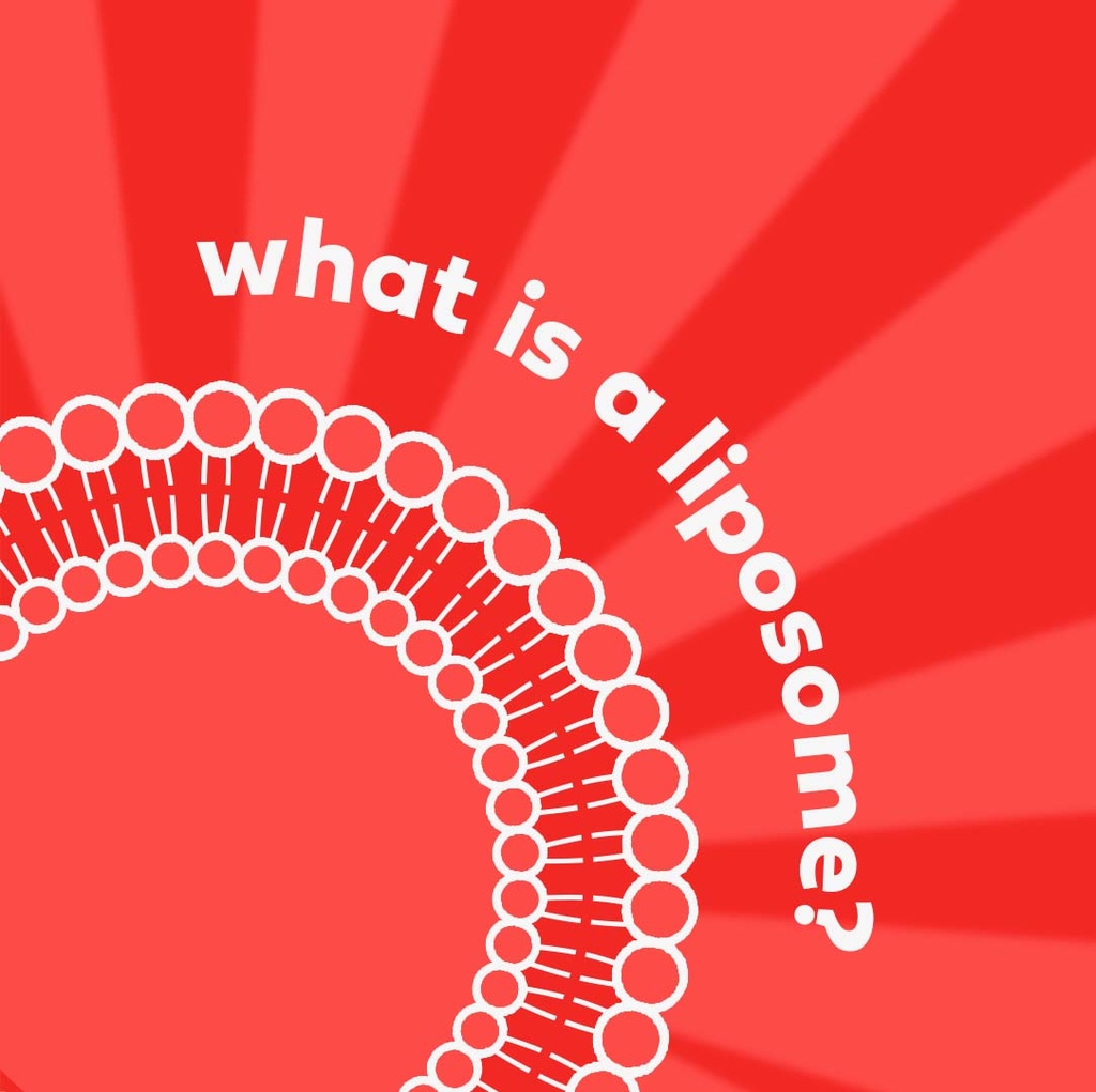 The microscopic nutrient couriers with a gigantic impact. 

Click below to learn more and don’t forget, you can get 10% off our liquid liposomal supplements* with code SHITAMINS10 🎉

bit.ly/3JXqDAw