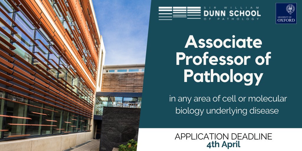 Dunn_School's tweet photo. Last chance to apply for an Associate Professor position here @Dunn_School!

If you are a group leader in any area of molecular biology underlying disease, and want to join a supportive community, this opportunity is for you!

Closing on Monday, April 4th
https://t.co/tbzoNnTq44 https://t.co/mti3G8Ng7q