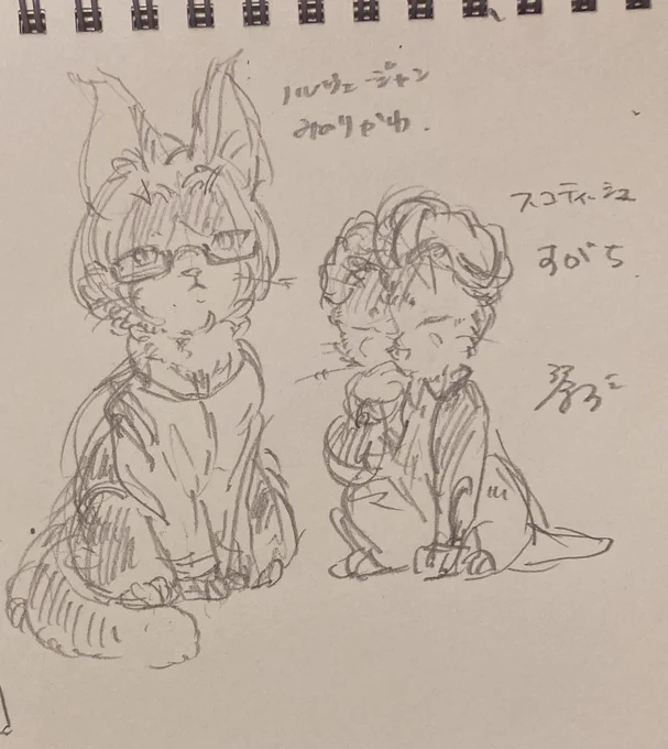ノルウェージャンみのりかわ🐱スコティッシュすがち🍞
マロリクでした🐾 