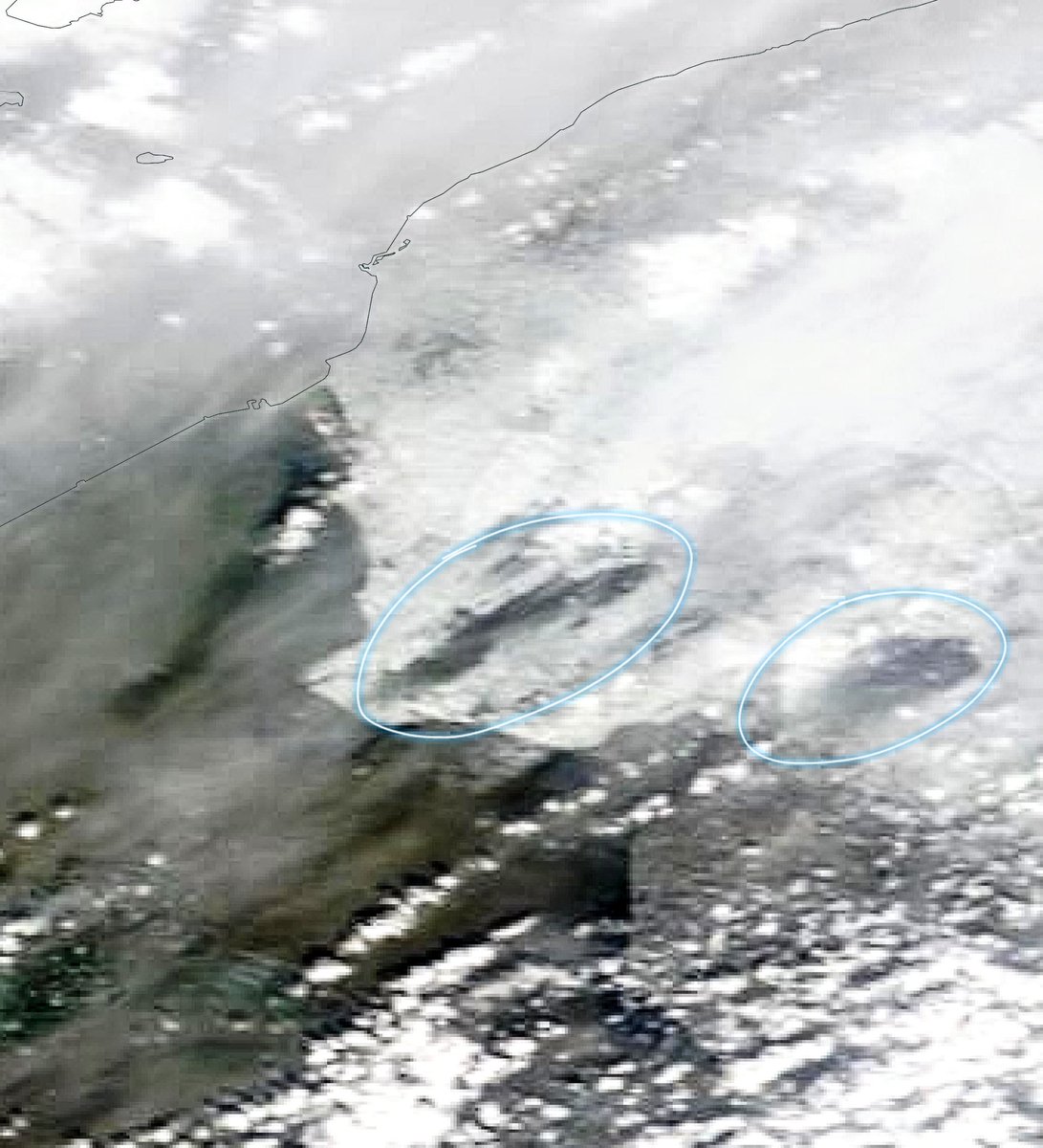 StormchaserNL's tweet photo. ❄️ Het effect van 'warm' water op een sneeuwdek! De wind kwam vannacht in Noord-Holland over het al opgewarmde IJssel- en Markermeer. Daarom lag er o.a. bij Amsterdam vrijwel geen #sneeuw. En zelfs achter de Friese meren is die invloed zichtbaar! (🛰️ NASA)

Via: @WeermanRichie https://t.co/H3SAOoXDTK