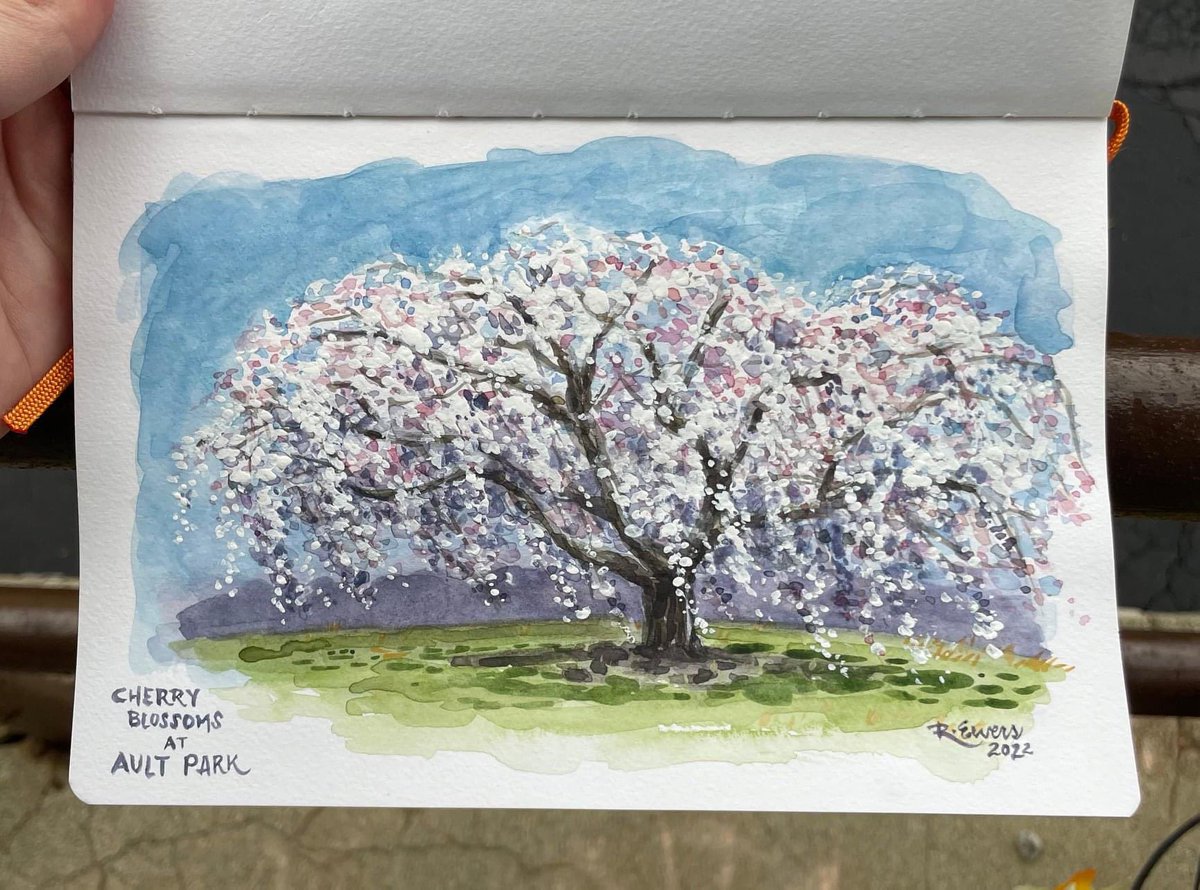 rewersdesigns's tweet photo. I took advantage of seeing the cherry blossoms at @aultpark before the cold got to them! I’ll admit, they we’re not easy to paint, but I’ll take it as a learning experience 🙂

#cherryblossoms #art #watercolor #aultpark #cincyparks #painting #usk #uskcincinnati #urbansketchers https://t.co/XRrirpUdPl