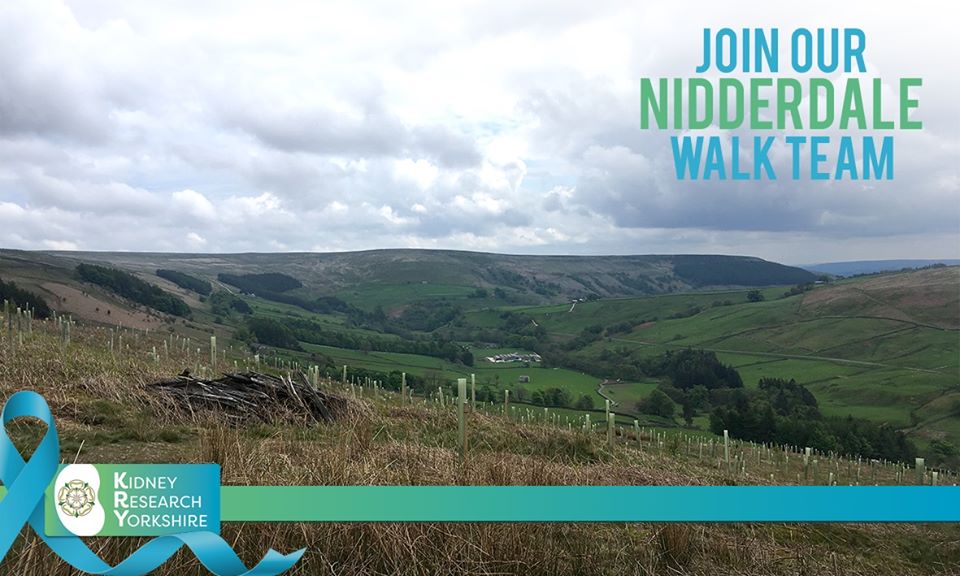 kidneyyorkshire's tweet photo. Which route will you take on? 4, 8, 15, 22 or 26 miles on the @HarrogateRotary @Nidderdalewalk
Whichever you choose - sign up now and join #TeamKRY at https://t.co/D84b6TDXtE
Once registered DM us to get your Fundraising Pack and T-Shirt for the walk https://t.co/mHCxL8PNId