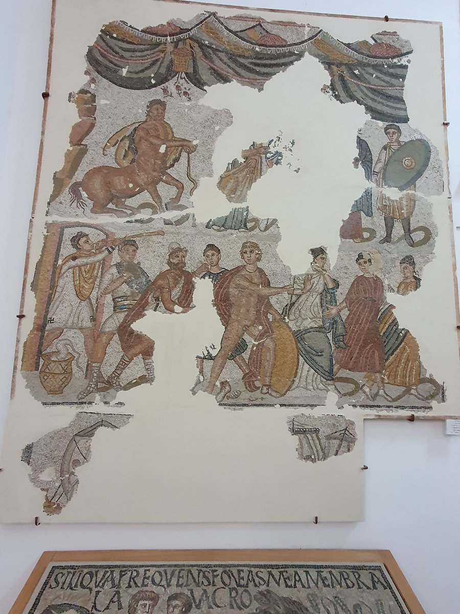 SimonElliott20's tweet photo. More mosaics from lovely #Roman #Algeria you say! OK then! Here more from the fab archaeological museum in Algiers! @UniKent @kentiquity @DariusAryaDigs @Ritterton @TrimontiumTrust @ancientstristan @BAR_Publishing @romanhistory1 @HistoryHitRome https://t.co/MdHh2uN6N8