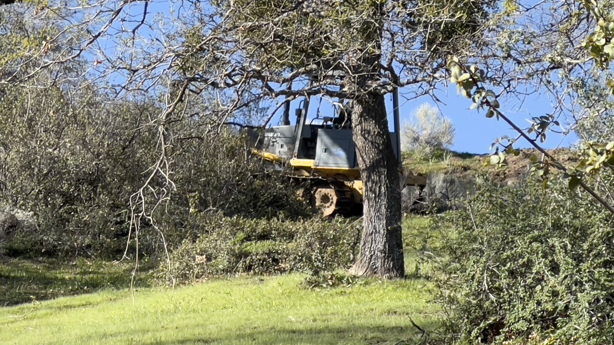 Venice311's tweet photo. Love you cows. Srsly. But gotta lock you out. #MEGAPOO #tractor #fence https://t.co/3usBNgxa6W