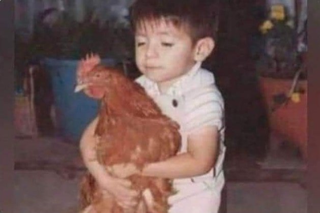 gafazo's tweet photo. Si no te dieron de mascota un pollo que después lo hicieron caldo, no tuviste infancia https://t.co/6mKO9smSQB