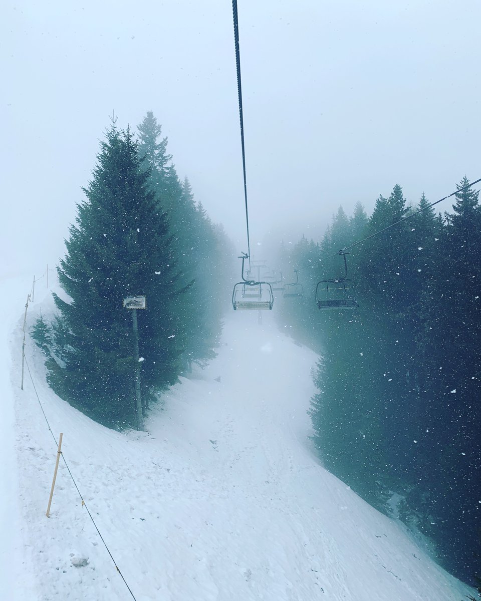 Jasper Jasper Jasper | Jasper Coffee tweet media