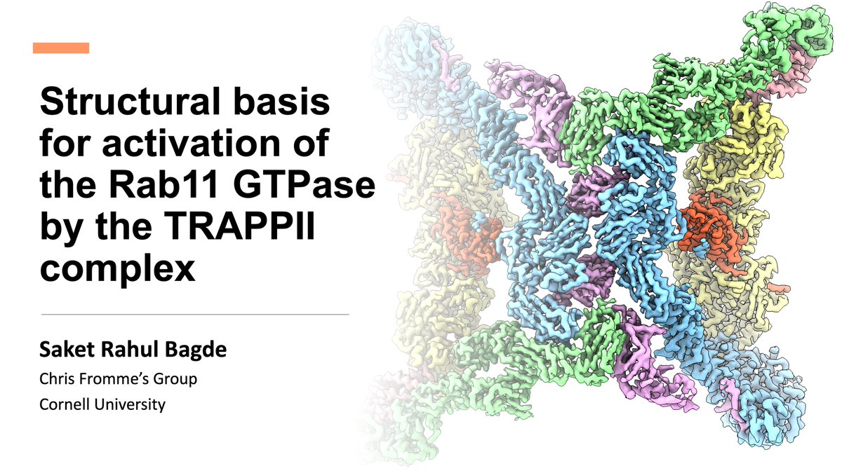 SaketBagde's tweet photo. Going to #ASBMB2022? Excited about small GTPases, large protein complexes, and all things cryo-EM? 🤩 Be sure to check out my talk and poster where I will tell you a tale of GTPase tails! https://t.co/DYjsqHylGM and https://t.co/ZEzceO6JYT  @ASBMB #ExpBio https://t.co/uornV85hQ6