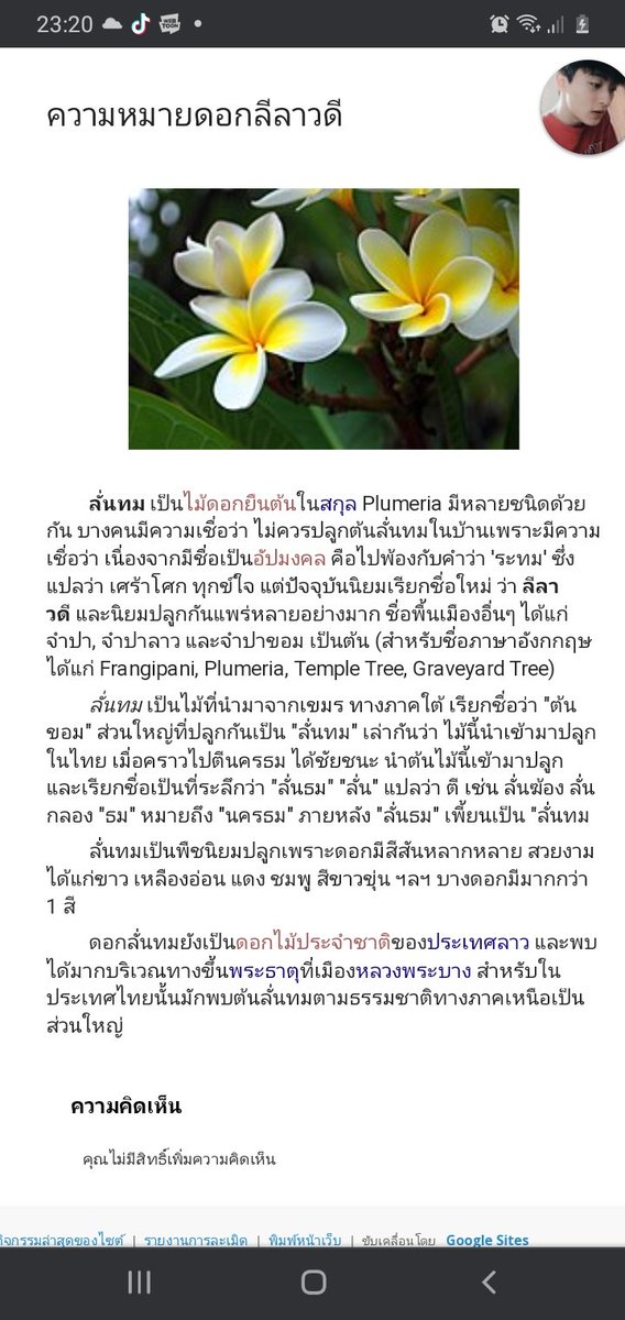 ใบม่อน tweet media