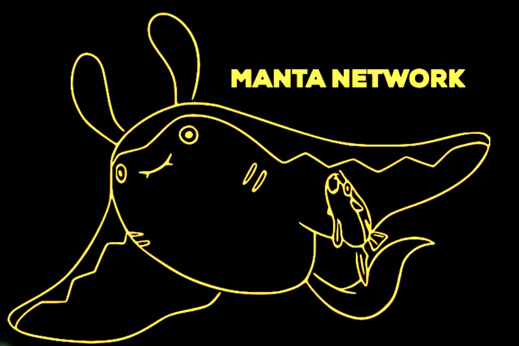 koltra1's tweet photo. #MantaMari, #MantaNetwork, #CalamariNetwork, #Privacy, #Prifi, #PrivacyInWeb3 https://t.co/oJAtOKnbfY