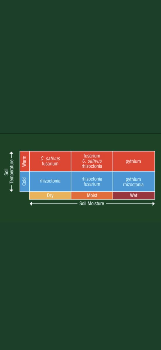 CatherwoodShawn's tweet photo. Despite the myth, warm and dry conditions are still conducive to some very damaging pathogens in our soil. It’s important to always treat your seed as a way to control the controllable and protect your investment #raxilpro #trilexevergol #plant22 @Bayer4CropsCA https://t.co/DQdiI5J7ZE