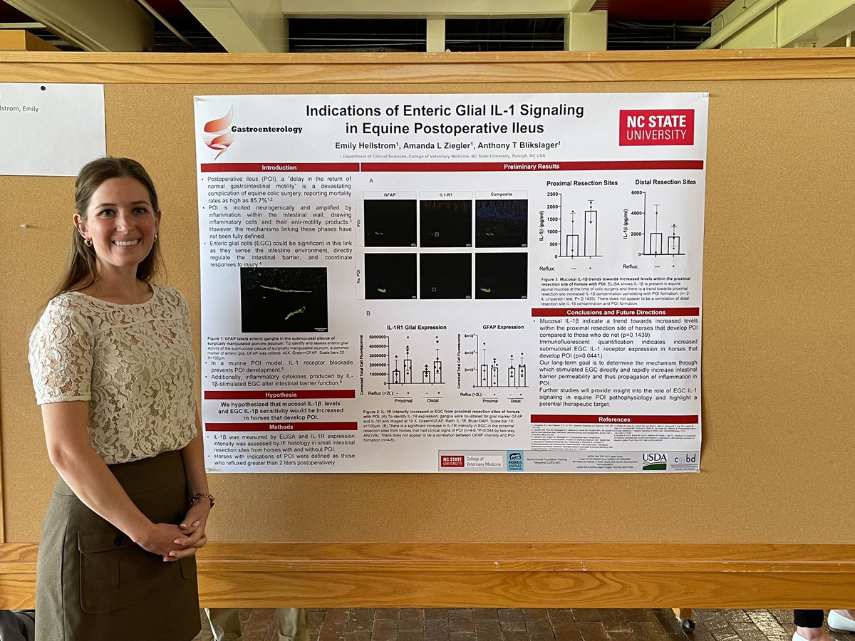 ComparativeGI's tweet image. It’s poster time at @CVMResearch Litwack Day! Be sure to stop by one of our lab’s four (four!!) posters to see what all our hardworking trainee have been up to #AcademicTwitter #science #vetmed