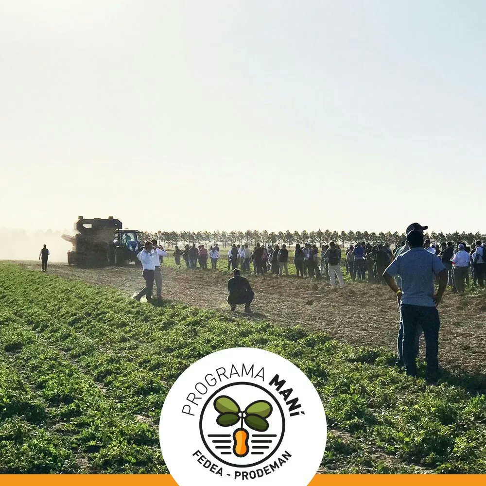 fedeaagro's tweet photo. 📍Estuvimos presentes en el Circuito de Maní junto con @prodeman
📣Nuestro Progama Maní te da la posibilidad de hacer maní con distintas modalidades!
#fedeaprogramamani #entudiaadiasiempre
#oportunidadesdenegocio https://t.co/xUurgHzjWe