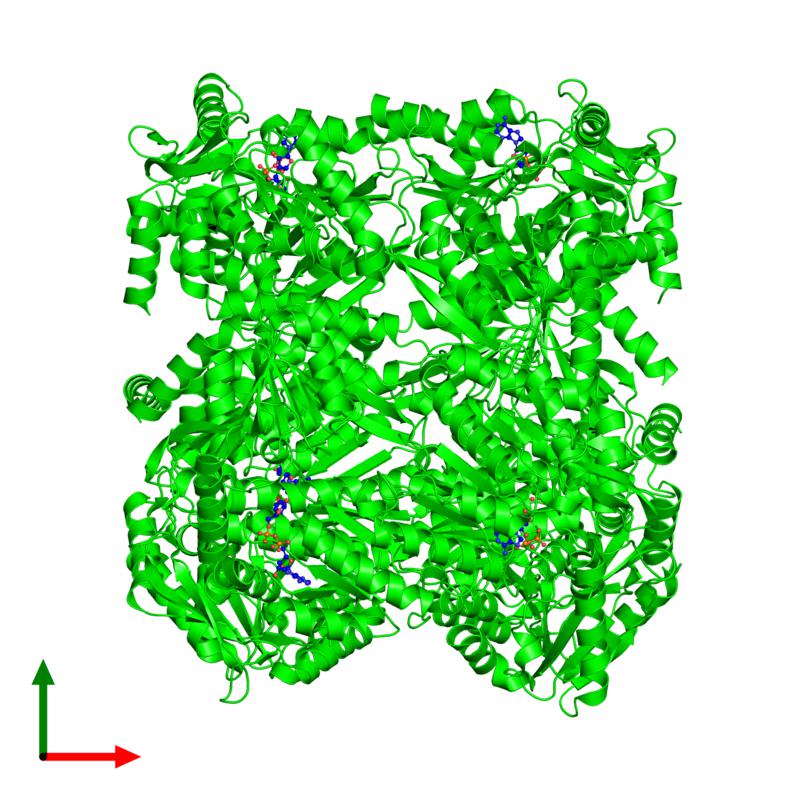 PDBimagebot's tweet photo. #HexamerOfTheWeek 'Crystal Structure of Yeast ALDH4A1 Complexed ..' published in @BiochemistryACS. Find it at https://t.co/tq4LnfwEEq https://t.co/hIb2kjwYoq