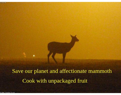 UPlantATree's tweet image. Let’s help ourselves and brave mammoth from within your job, please visit my website plantatree.urbieta.com &amp;amp; ReTweet, #commbuild, thank you