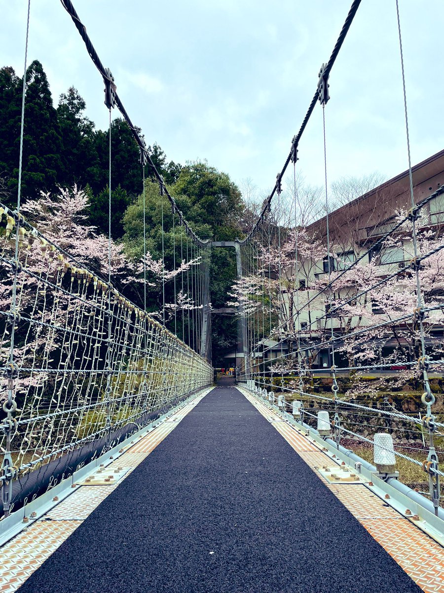 熊野古道の旅行最終日