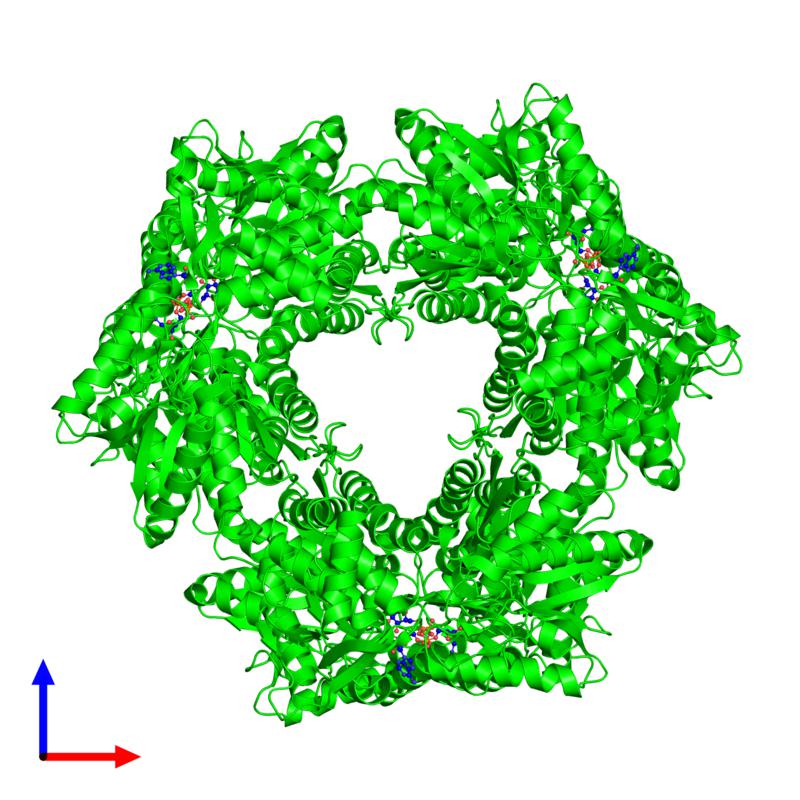 PDBimagebot's tweet photo. #HexamerOfTheWeek 'Crystal Structure of Yeast ALDH4A1 Complexed ..' published in @BiochemistryACS. Find it at https://t.co/tq4LnfwEEq https://t.co/hIb2kjwYoq
